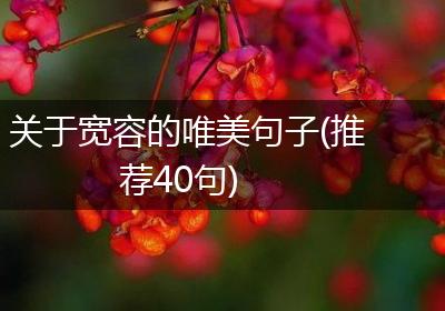 关于宽容的唯美句子(推荐40句)