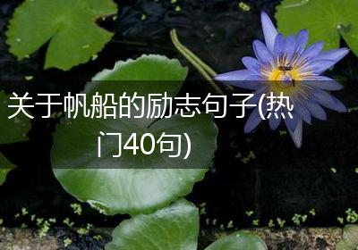 关于帆船的励志句子(热门40句)