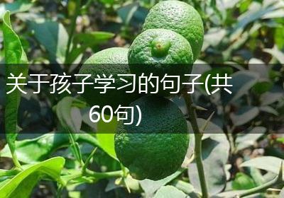 关于孩子学习的句子(共60句)