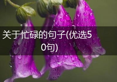 关于忙碌的句子(优选50句)