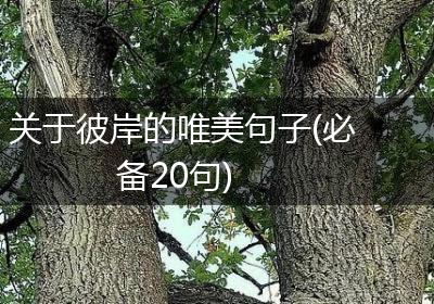 关于彼岸的唯美句子(必备20句)