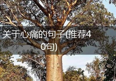 关于心痛的句子(推荐40句)