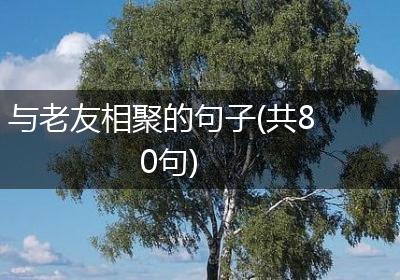 与老友相聚的句子(共80句)