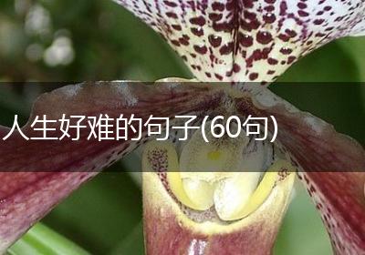 人生好难的句子(60句)
