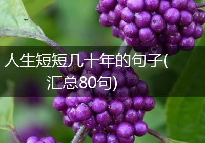人生短短几十年的句子(汇总80句)