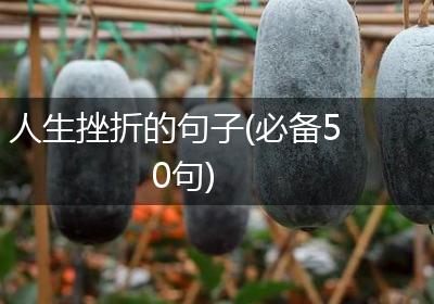 人生挫折的句子(必备50句)