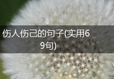 伤人伤己的句子(实用69句)