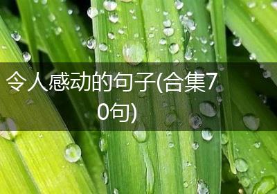 令人感动的句子(合集70句)