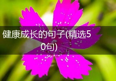 健康成长的句子(精选50句)
