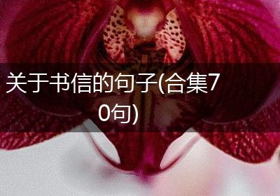 关于书信的句子(合集70句)