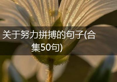 关于努力拼搏的句子(合集50句)