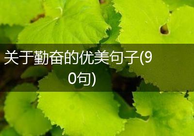 关于勤奋的优美句子(90句)