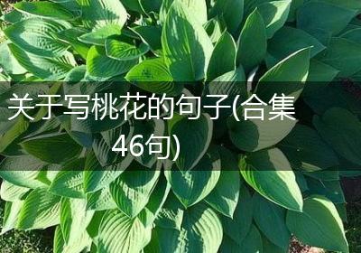 关于写桃花的句子(合集46句)