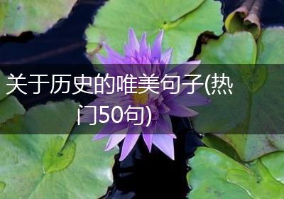 关于历史的唯美句子(热门50句)