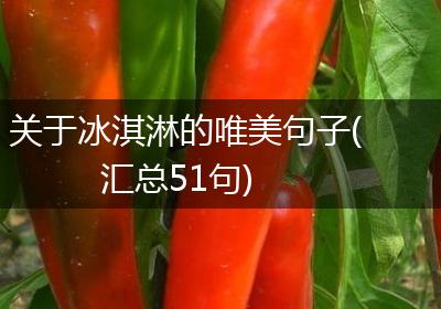 关于冰淇淋的唯美句子(汇总51句)