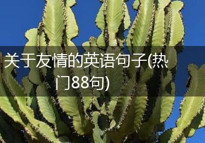 关于友情的英语句子(热门88句)