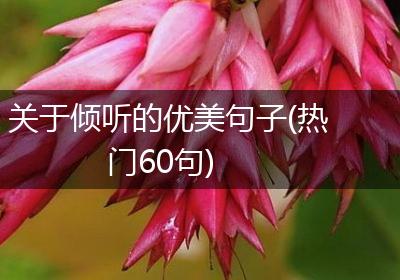 关于倾听的优美句子(热门60句)