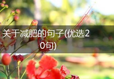 关于减肥的句子(优选20句)