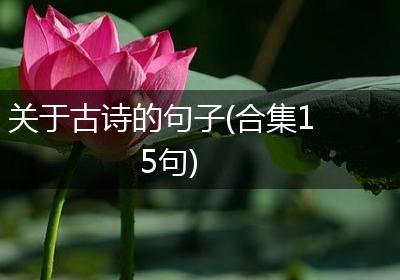 关于古诗的句子(合集15句)