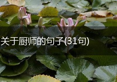 关于厨师的句子(31句)