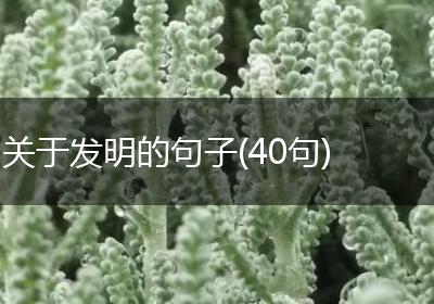 关于发明的句子(40句)