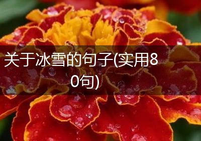 关于冰雪的句子(实用80句)