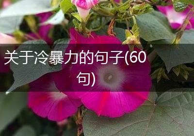 关于冷暴力的句子(60句)