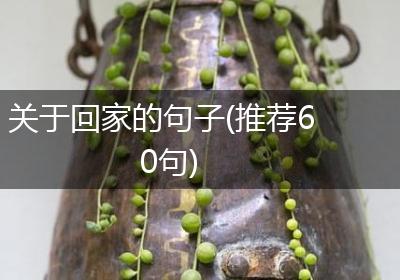 关于回家的句子(推荐60句)