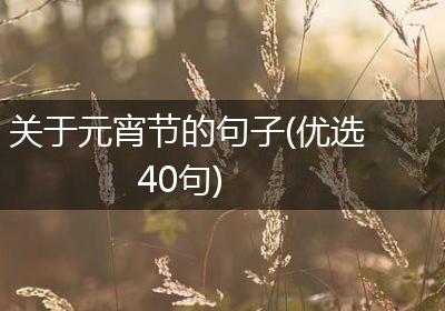 关于元宵节的句子(优选40句)