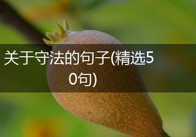 关于守法的句子(精选50句)