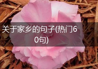 关于家乡的句子(热门60句)