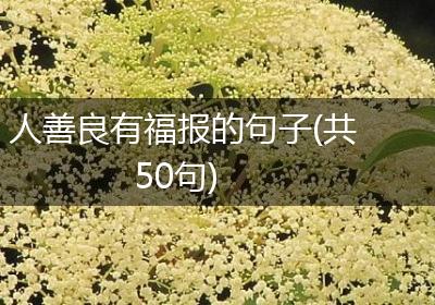 人善良有福报的句子(共50句)