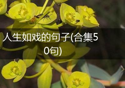 人生如戏的句子(合集50句)