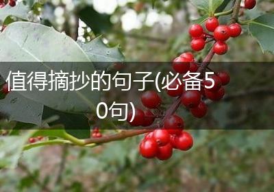 值得摘抄的句子(必备50句)