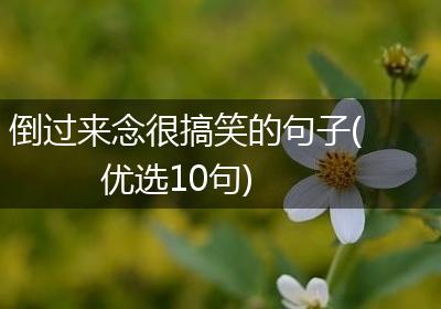 倒过来念很搞笑的句子(优选10句)