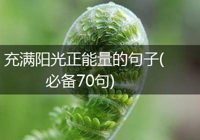 充满阳光正能量的句子(必备70句)