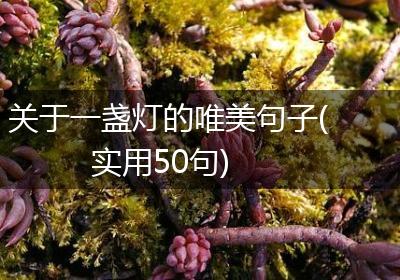 关于一盏灯的唯美句子(实用50句)