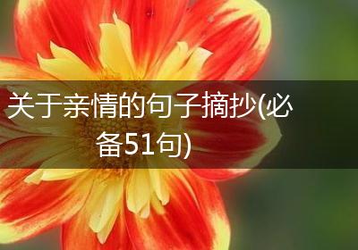 关于亲情的句子摘抄(必备51句)