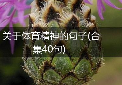 关于体育精神的句子(合集40句)