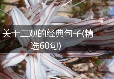 关于三观的经典句子(精选60句)