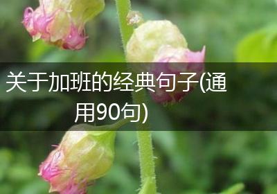 关于加班的经典句子(通用90句)