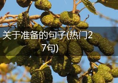 关于准备的句子(热门27句)