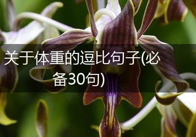 关于体重的逗比句子(必备30句)