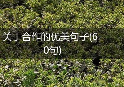 关于合作的优美句子(60句)