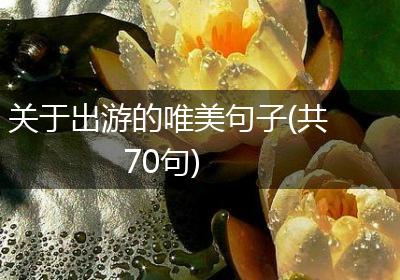 关于出游的唯美句子(共70句)