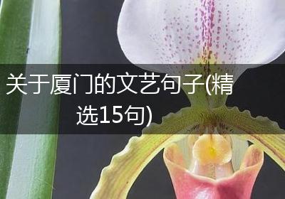 关于厦门的文艺句子(精选15句)