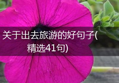 关于出去旅游的好句子(精选41句)