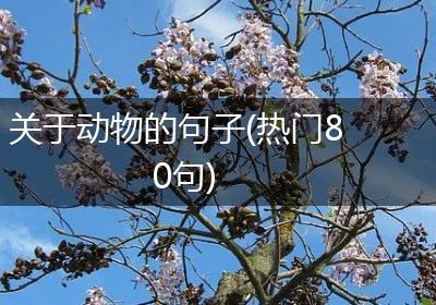 关于动物的句子(热门80句)