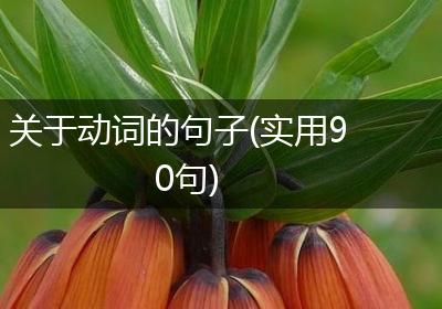 关于动词的句子(实用90句)