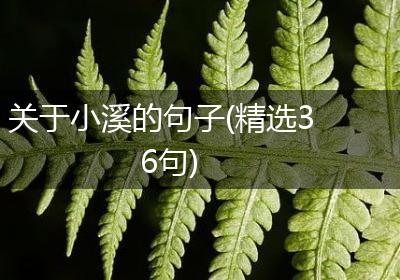 关于小溪的句子(精选36句)